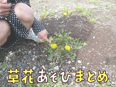 草花遊びまとめ