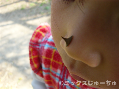 バラのトゲでサイのマネ