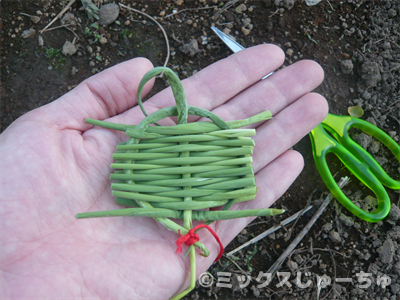 クマザサの亀の作り方