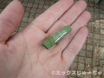 シラカシの葉の草笛の作り方