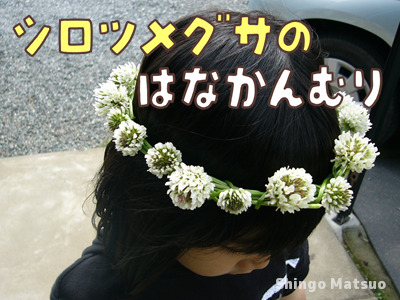 シロツメグサの花の冠・髪飾りの作り方