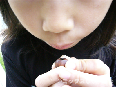 椿の実の笛の作り方