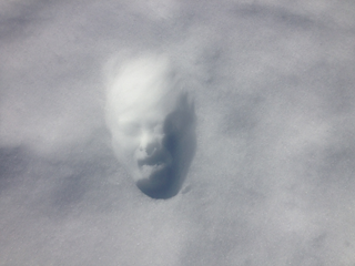 雪の顔型