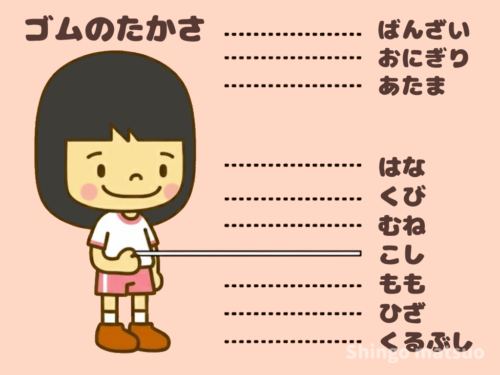 ごむだんのゴムの高さ一覧