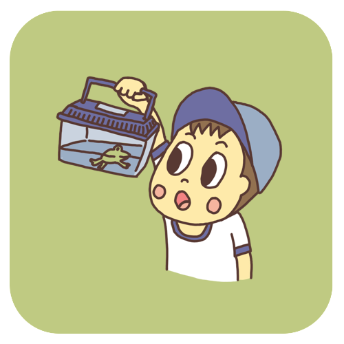 生き物遊び・昆虫遊びまとめ